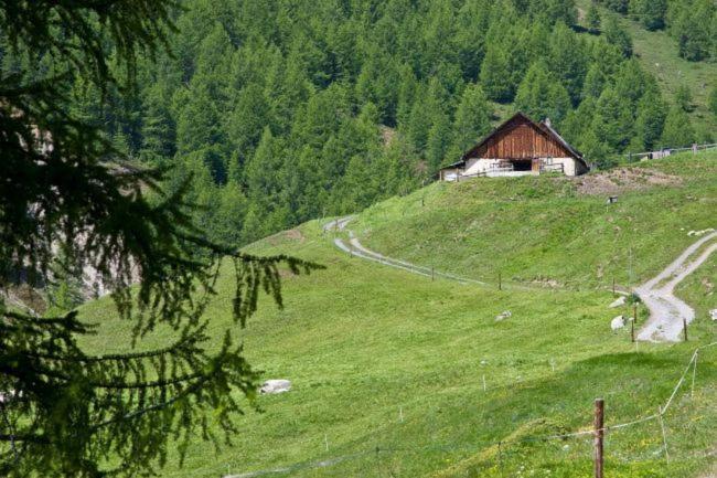 Alp Es-Cha Dadour Bed & Breakfast Madulain Dış mekan fotoğraf